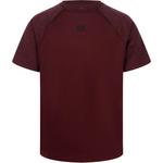 Футболка Performance ARENA, бордовый - фото