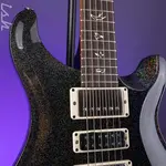 PRS Swamp Ash Special Black Rainbow Hollowflake - фото 4