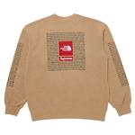 Толстовка Supreme x The North Face Crewneck, бежевый - фото 2