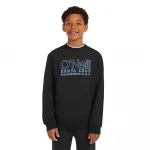 Толстовка O´neill Essentials, черный - фото