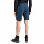 Шорты Dare2B Tuned In, синий - фото 2