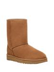 Ботинки женские UGG Eskimo Classic Short II, бежевый - фото 3