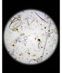 Лосьон для лица L:A Bruket No. 281 Protective Fluid, 60 ml - фото 4