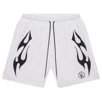 Шорты Hellstar Mesh Shorts, White - фото