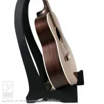 Eastman PCH2-TG 2025 - фото 3