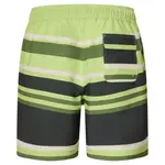 Плавки Oakley Sunset RC 19'', зеленый - фото 2