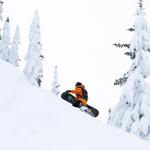 Сноуборд Lib Technologies Lib Rig Lib Technologies, One Color - фото 3