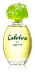 Парфюмерная вода Grès Cabotine de Grès, 100 мл - фото