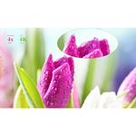 HoverCam Solo 8 Plus Document Camera HCS8PLUS - фото 5