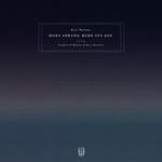 Виниловая пластинка Malone, Kali / O'Malley, Stephen / Railton, Lucy: Does Spring Hide Its Joy - фото