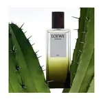 Парфюмированная вода Esencia Elixir Loewe, 100 ml - фото 4