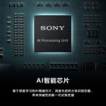 Фотоаппарат Sony Alpha 7R V/A7R5/A7RM5 FE 24-105 - фото 6