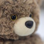 Плюшевая кукла Cute Pets высотой 17 см Handsome - фото 7