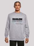 Свитер F4NT4STIC Sweatshirt Harlem, серый - фото 2