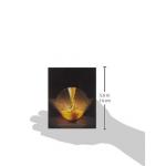 Orofluido Highlighting Rituals 40г - фото 3