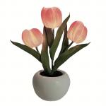 Атмосферные огни The Star God Project, оранжевый - фото 3