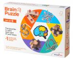 Brain Puzzle (набор из 6 головоломок) Recent Toys - фото