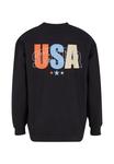 Толстовка STARTER USA CREW NECK, черный - фото 7