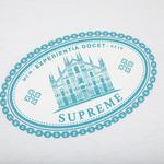 Футболка Supreme Experientia Tee 'White', белый - фото 3