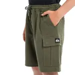 Taxer Quiksilver детские шорты-карго, коричневый - фото 4
