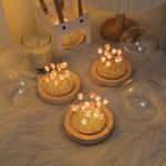 Атмосферные огни The Star God Project, розовый - фото 8