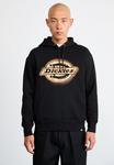 Толстовка Dickies GRAPHIC HOODIE, Black - фото