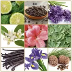 STR8 Ahead туалетная вода для мужчин, 100 мл - фото 4