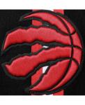 Мужские черные шорты из синели toronto raptors Pro Standard, черный - фото 5