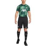 Футбольные шорты мужские черные Nike, черный - фото 4