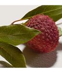 Гель для душа Chloé, 200 мл - фото 5