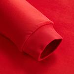 FILA KIDS Джсидиси свитшот legend red для подростков - фото 7