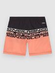 Пляжные шорты O'Neill Cali Stripe 14″ Kids Boardshorts, coral upside down - фото 2