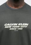 Футболка Calvin Klein GRAPHIC TEE, Pirate Black/Grey - фото 6