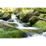 Фильтр B+W #701 MRC Basic 50% Graduated ND Filter 66-1102709 - фото 5