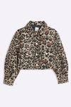 Куртка с леопардовым принтом для девочек River Island, коричневый - фото