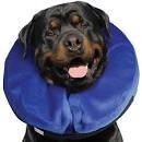 КОНГ Облако XS KONG - фото 6