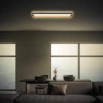 Потолочный светильник Briloner Remsa Typ B, 20 х 61 см - фото 2