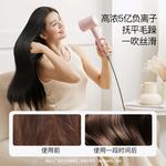 Фен для волос Cooshark, Light Lavender - фото 17