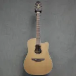 Takamine Garth Brooks GB7C - фото