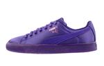 Детские кроссовки для скейтбординга Puma Clyde Series GS - фото
