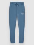 Повседневные брюки O'Neill Script Kids Hose, copen blue - фото