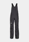 Лыжные брюки The North Face FREEDOM BIB, Black - фото 6