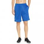 Спортивные шорты унисекс Dodger Blue Champion, цвет Dodger Blue - фото