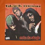 Футболка Supreme Enta Da Stage Tee 'Rust', оранжевый - фото 4