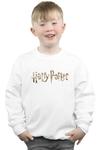Толстовка с полноцветным логотипом Harry Potter, белый - фото