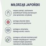 Naturell, Интенсив с гинкго, 60 таблеток - фото 4