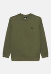 Толстовка Quiksilver BASIC CREW YOUTH UNISEX, Four Leaf Clover/Olive - фото