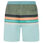 Шорты для плавания Protest Avik, зеленый - фото 2