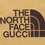 X The North Face Web Print Хлопковая толстовка Золотая Gucci, желтый - фото 6