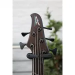 DINGWALL D-Roc Кастом 5-струнный - фото 5